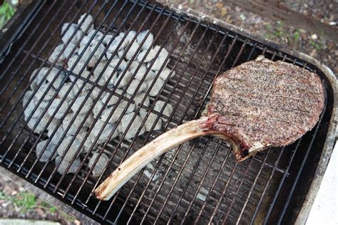 two zone cooking on a gas grill